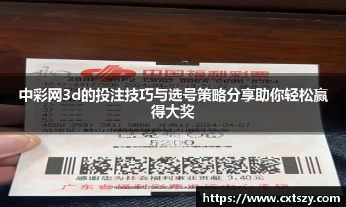 中彩网3d的投注技巧与选号策略分享助你轻松赢得大奖