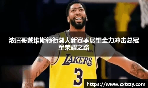 浓眉哥戴维斯领衔湖人新赛季展望全力冲击总冠军荣耀之路